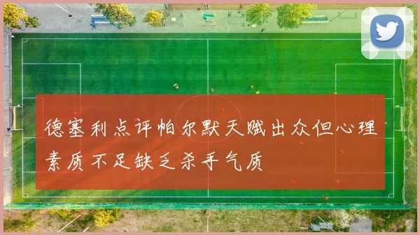 德塞利点评帕尔默天赋出众但心理素质不足缺乏杀手气质