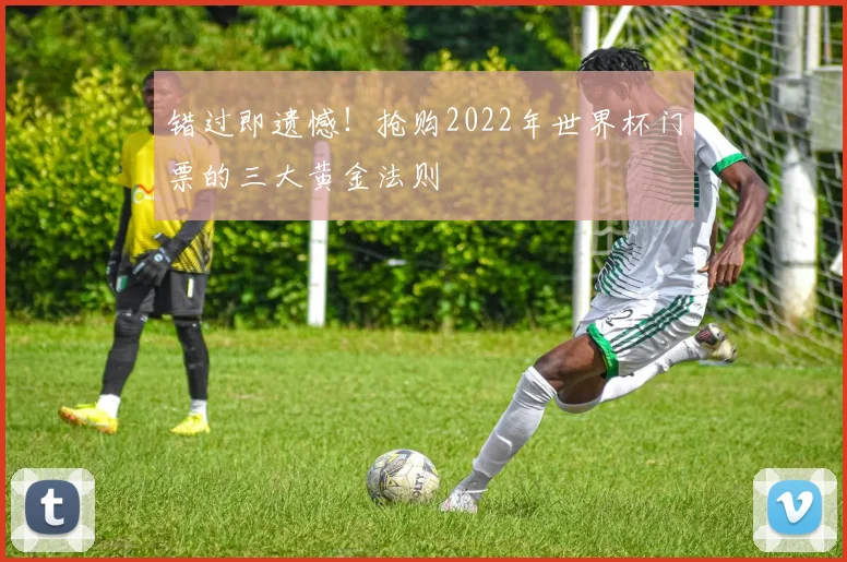 错过即遗憾！抢购2022年世界杯门票的三大黄金法则