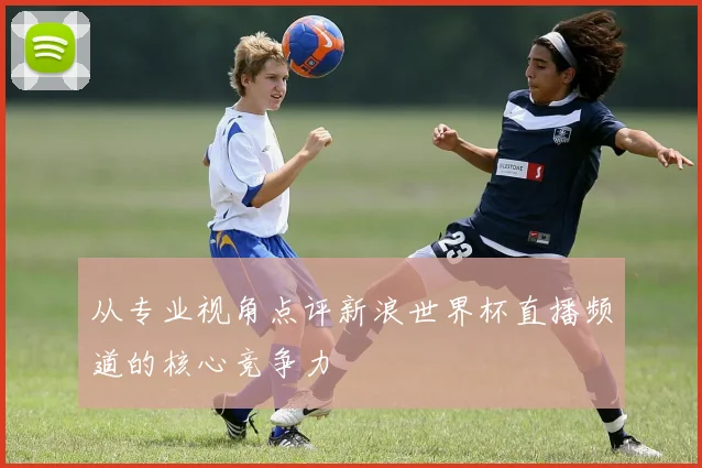 从专业视角点评新浪世界杯直播频道的核心竞争力