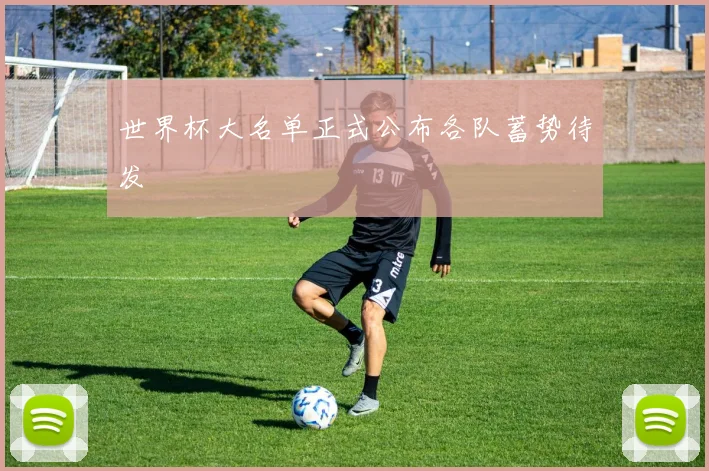 世界杯大名单正式公布各队蓄势待发