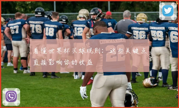 看懂世界杯买球规则：这些关键点直接影响你的收益