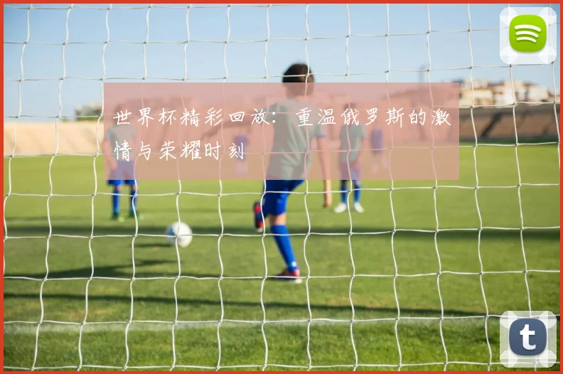 世界杯精彩回放：重温俄罗斯的激情与荣耀时刻