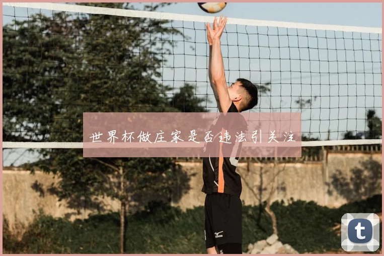 世界杯做庄家是否违法引关注