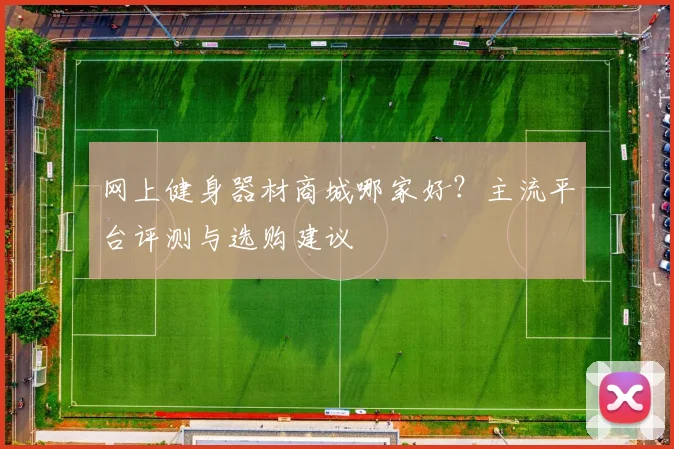 网上健身器材商城哪家好？主流平台评测与选购建议