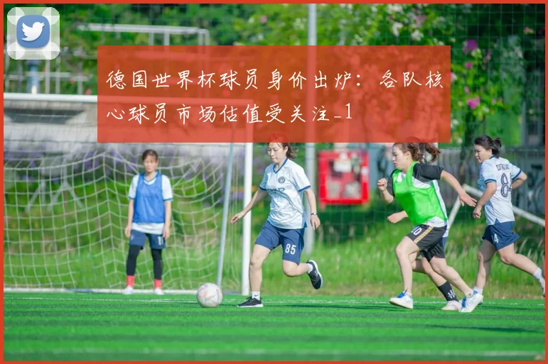 德国世界杯球员身价出炉：各队核心球员市场估值受关注_1