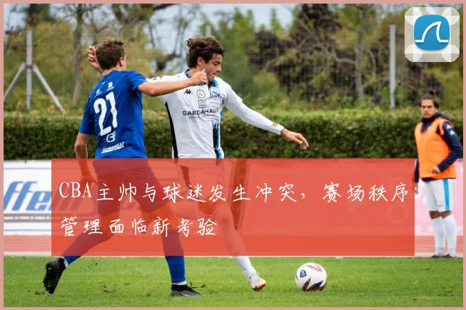 CBA主帅与球迷发生冲突,赛场秩序管理面临新考验
